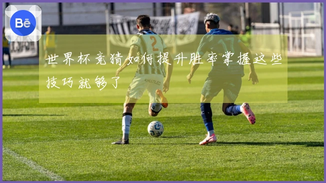 世界杯竞猜如何提升胜率掌握这些技巧就够了